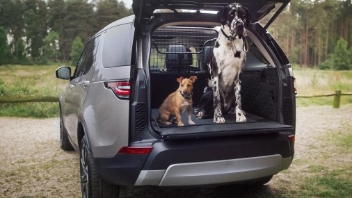 Land Rover quiere que los animales viajen más cómodos en sus vehículos
