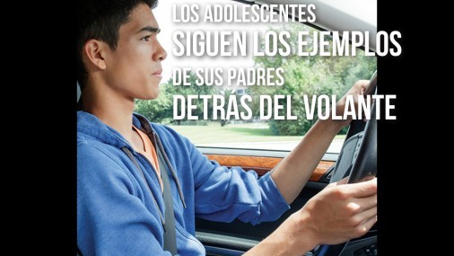 De tal palo tal astilla ¿Porqué los adolescentes conducen como sus padres?