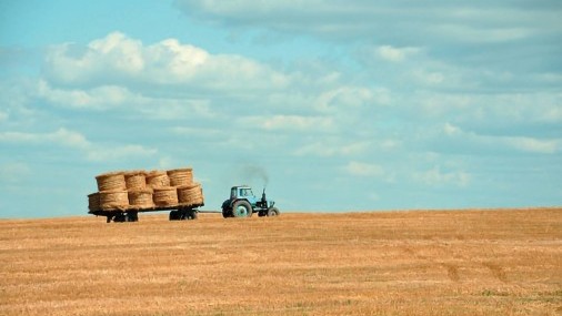 Subvenciones y préstamos agrícolas disponibles