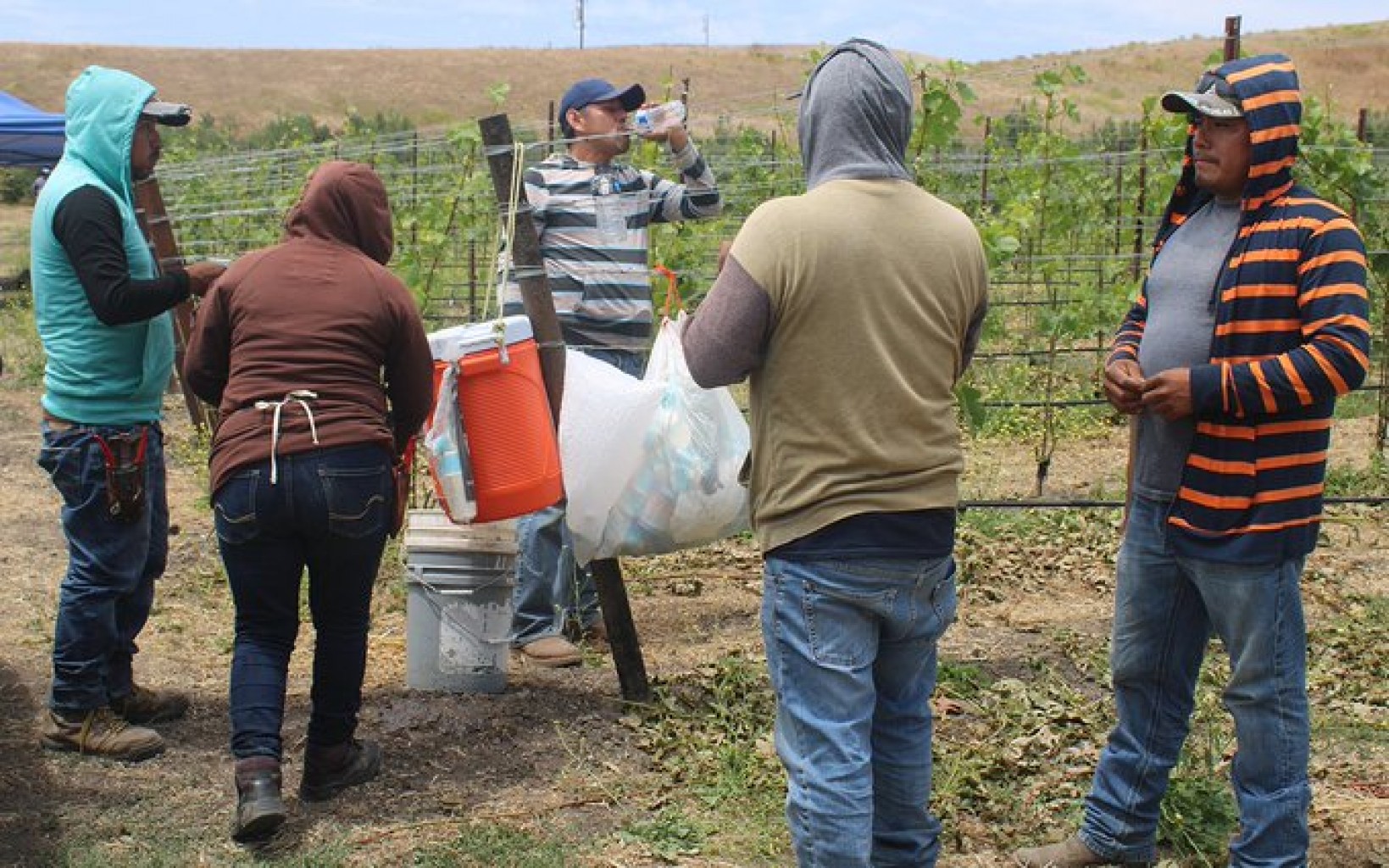 Indocumentados, esenciales excluidos del apoyo financiero por la covid