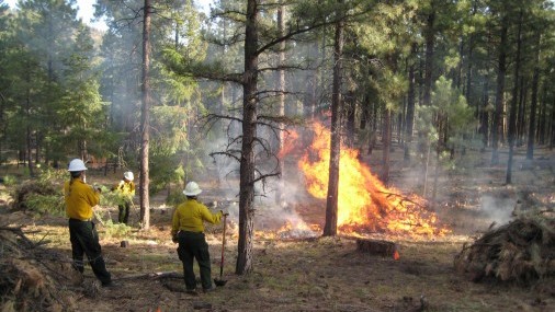 El tamaño de los incendios forestales de Oregon subraya la inmensidad del oeste de EE.UU.