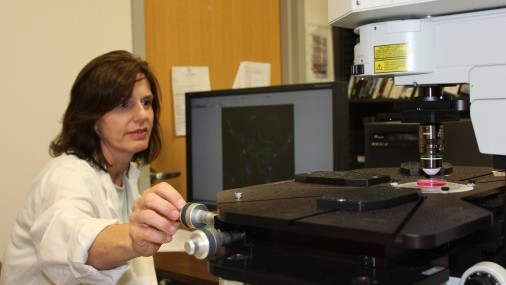 Investigador de la Facultad de Medicina de la OU descubre proteína en el desarrollo de la miopía