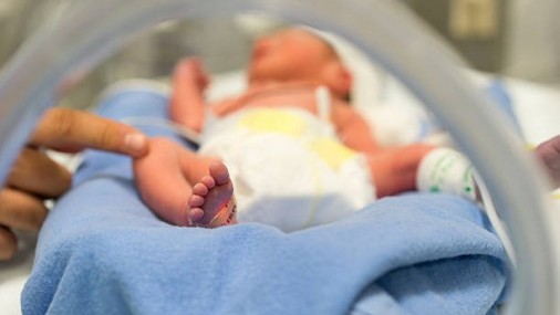 Proyecto de ley Prohibiría Ciudadanía a bebés de indocumentados