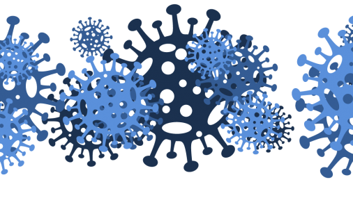 Aparece un nuevo coronavirus: ¿debemos preocuparnos?
