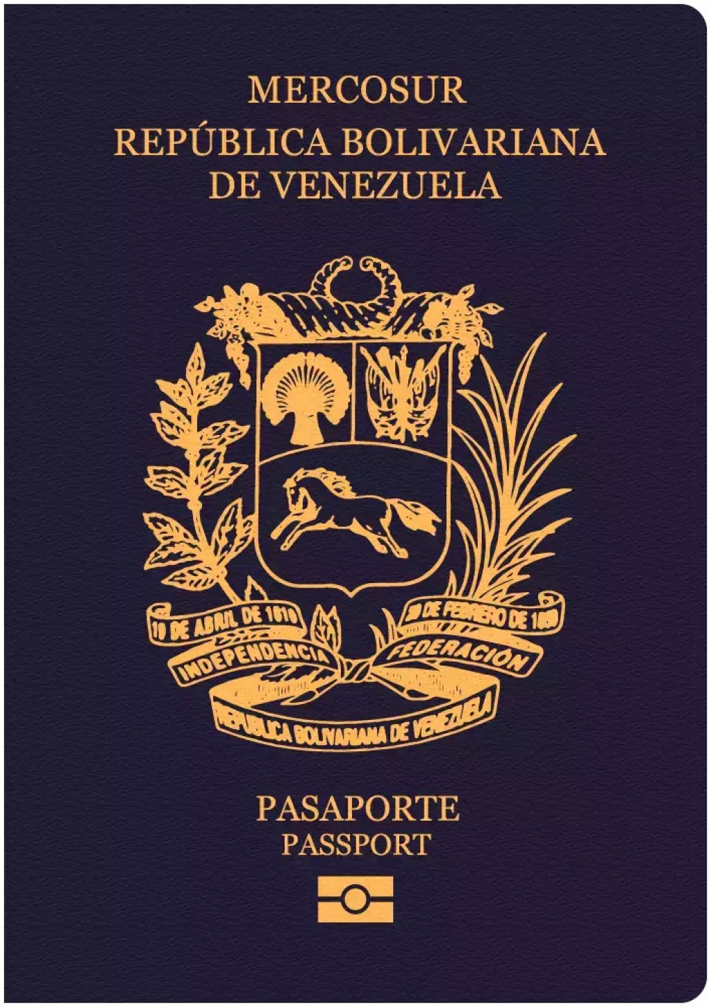 ¿Qué pasa con los pasaportes  venezolanos en EEUU y otros países?