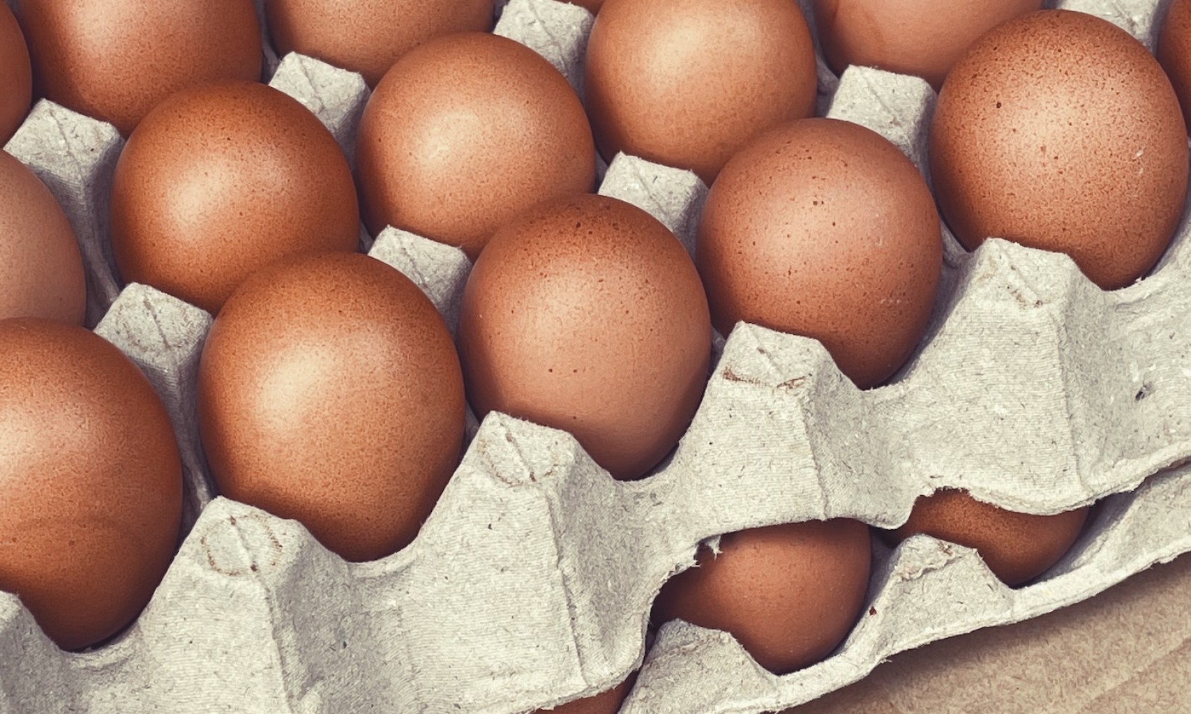 El Loco Precio de los Huevos,  un dolor para los hogares estadounidenses