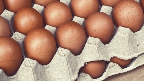 El Loco Precio de los Huevos,  un dolor para los hogares estadounidenses