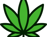 ¿Qué hay en la Pregunta Estatal 820 legalización de la marihuana recreativa?