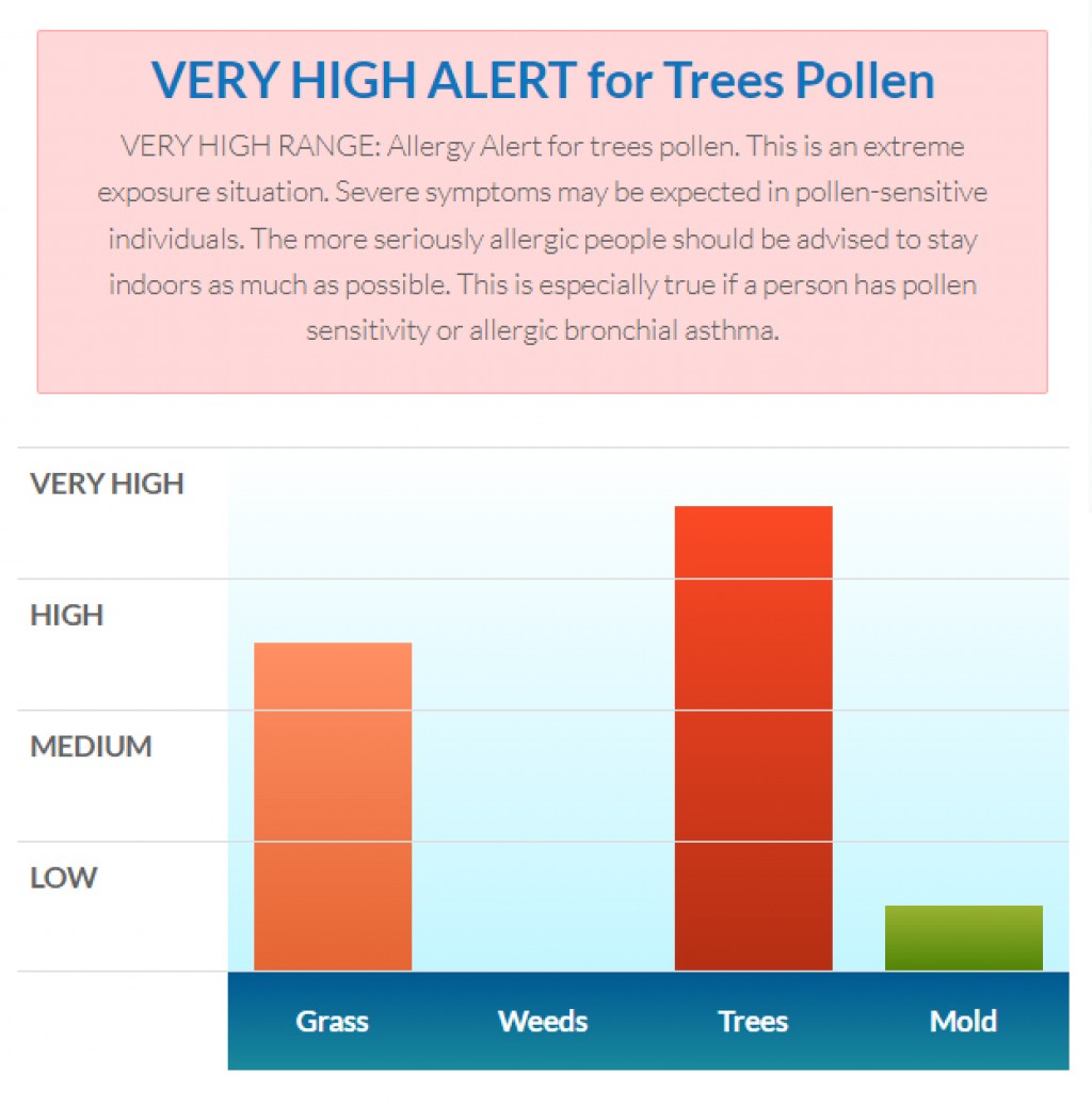 “VERY HIGH ALERT” for OAK TREE Pollen