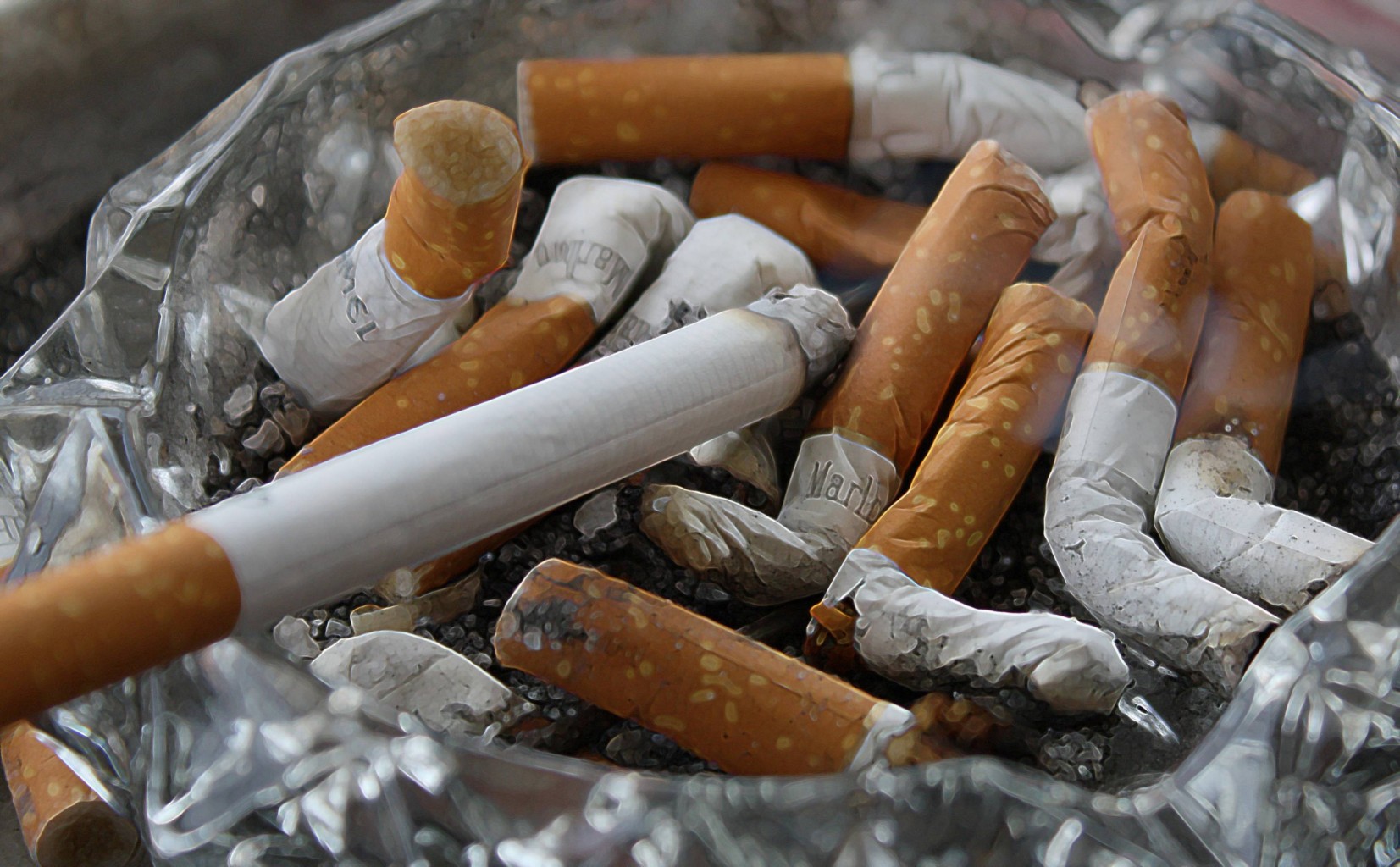 Según una nueva encuesta de la APA, se consideran cigarrillos más adictivos entre opciones encuestadas