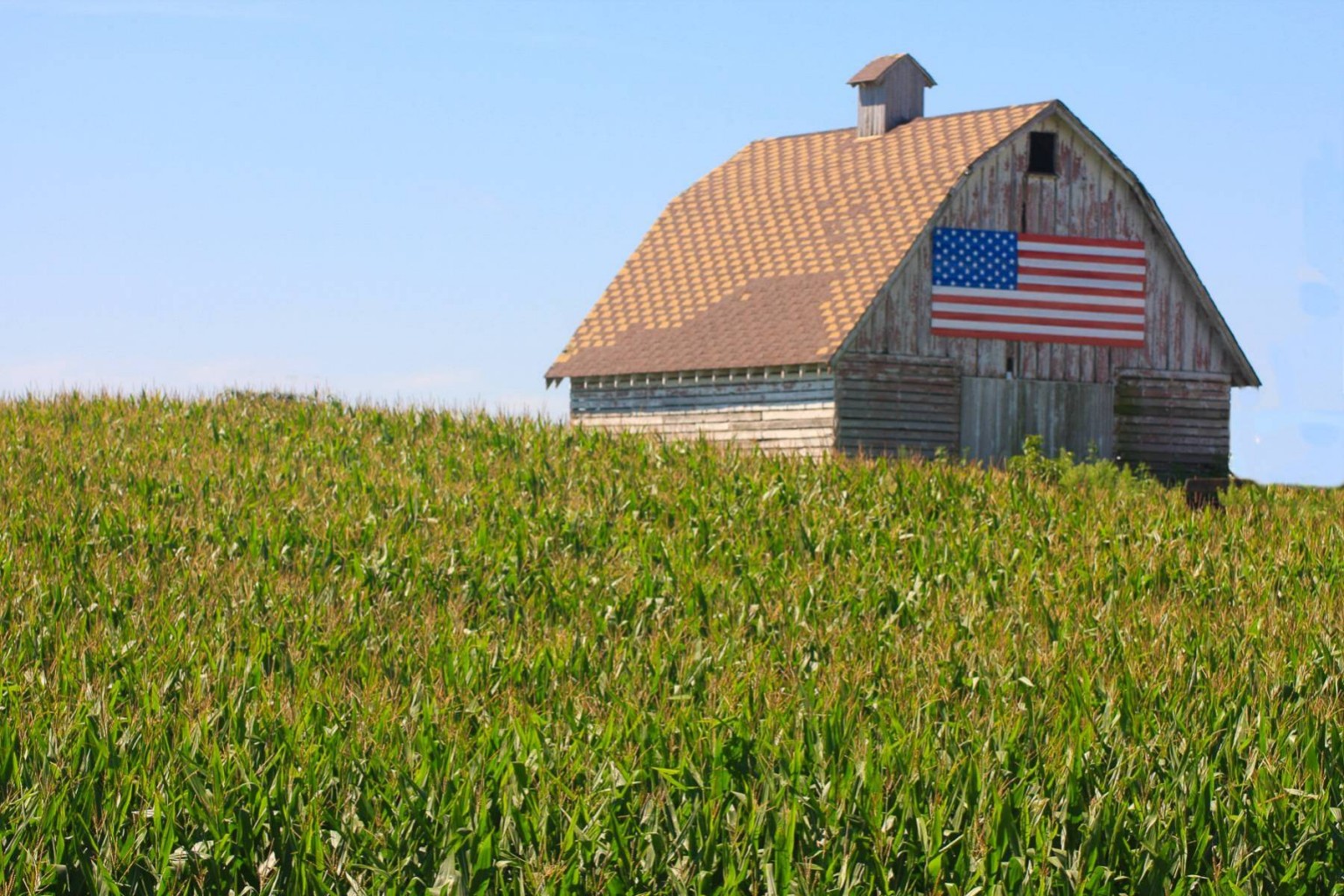 Cómo los agricultores estadounidenses promueven la seguridad económica y nacional