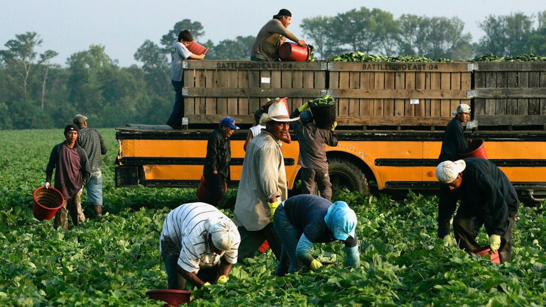 Inmigrantes no desplazan a los Trabajadores estadounidenses ni reducen los salarios