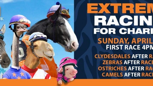 Un día lleno de diversión para Toda La Familia 