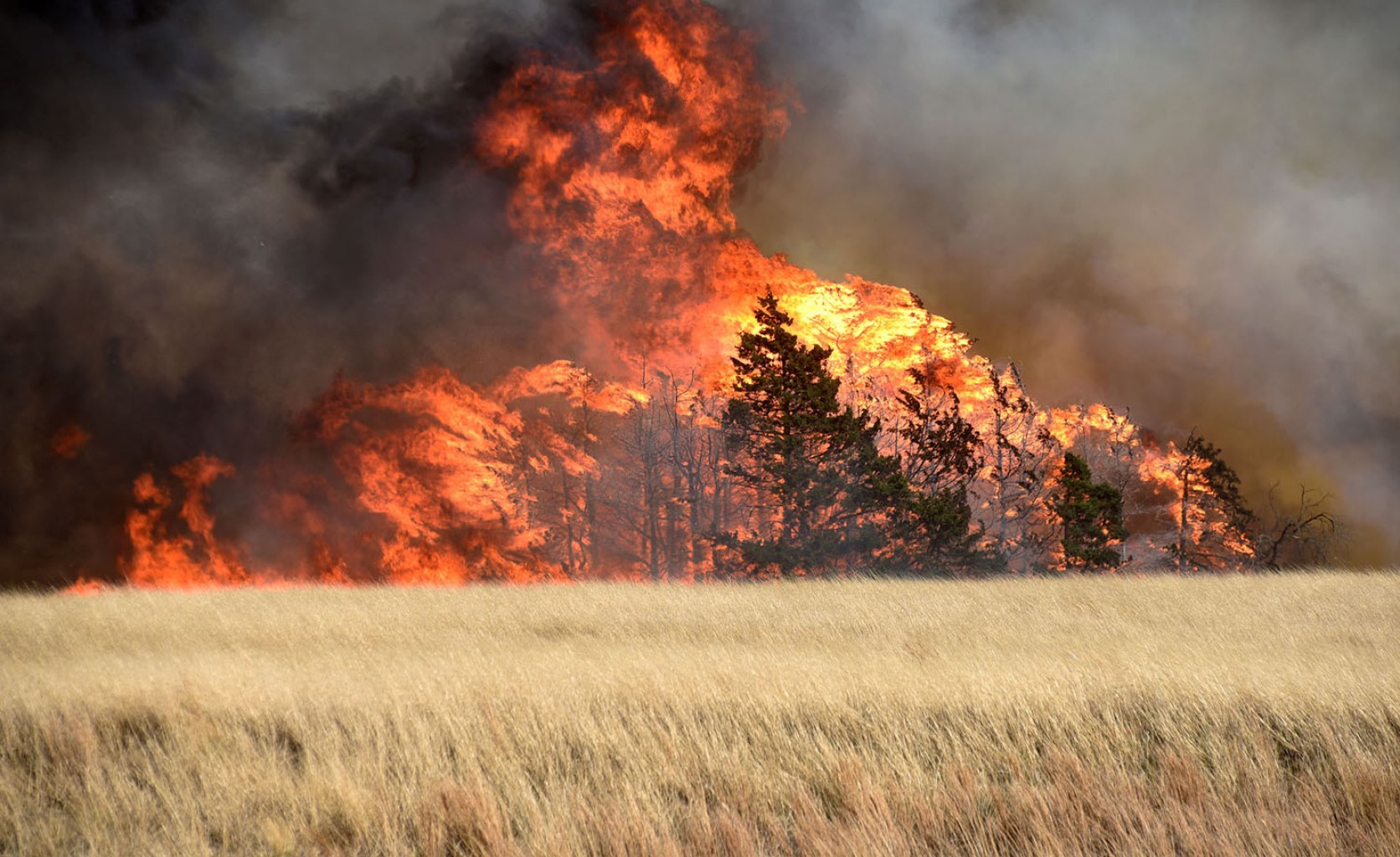 Quedan dos semanas para solicitar la asistencia de FEMA