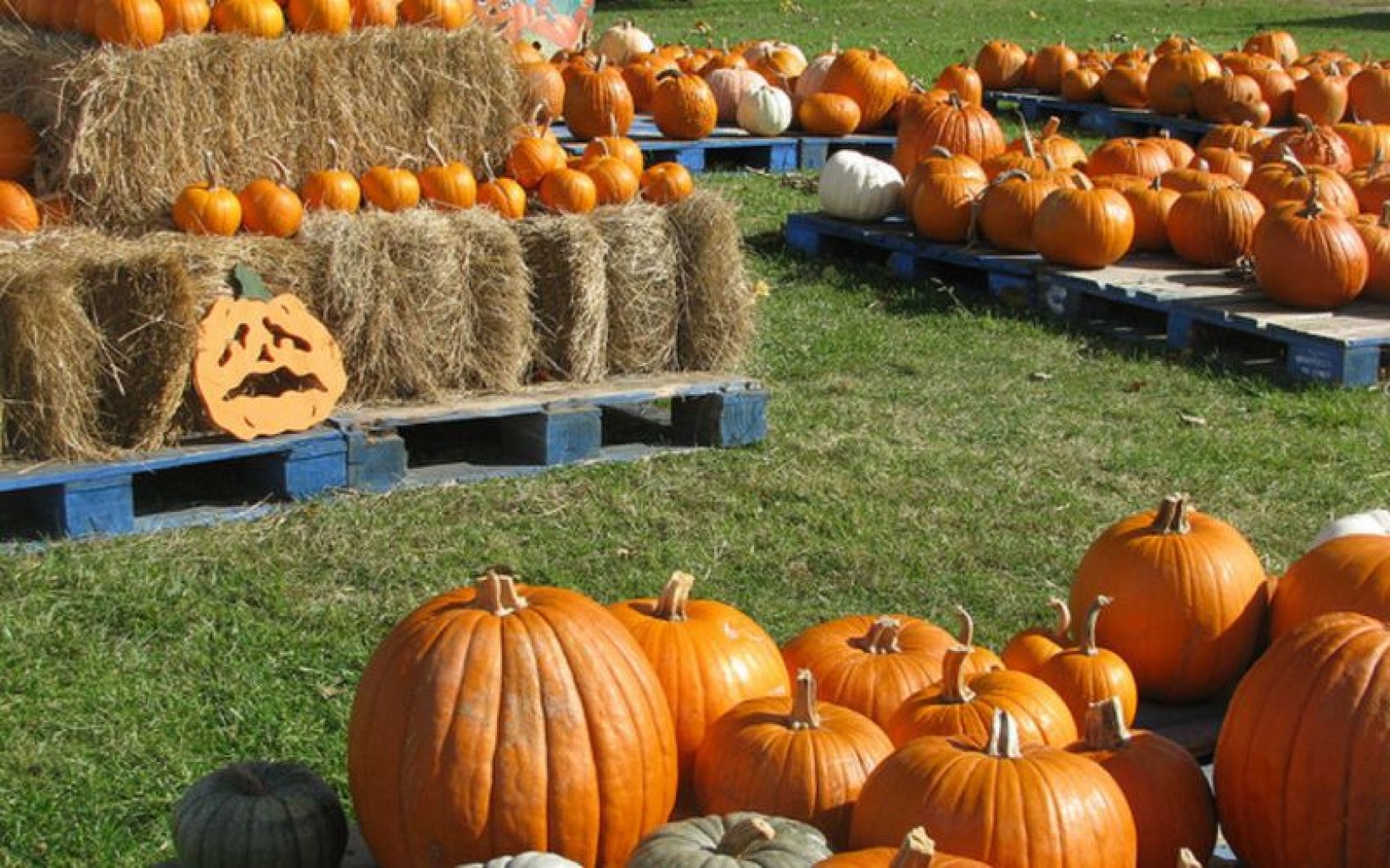 Festividades de otoño en Norman Oklahoma  destacan la conciencia ambiental 