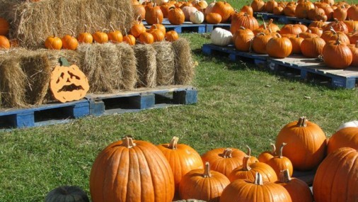 Festividades de otoño en Norman Oklahoma  destacan la conciencia ambiental 