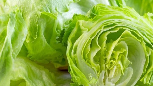 Brote de ciclosporiasis provoca alerta de salud Pública