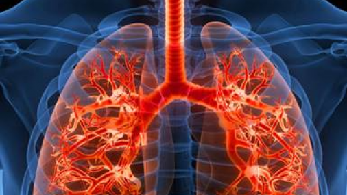 Mes de Concienciación sobre la Fibrosis Pulmonar